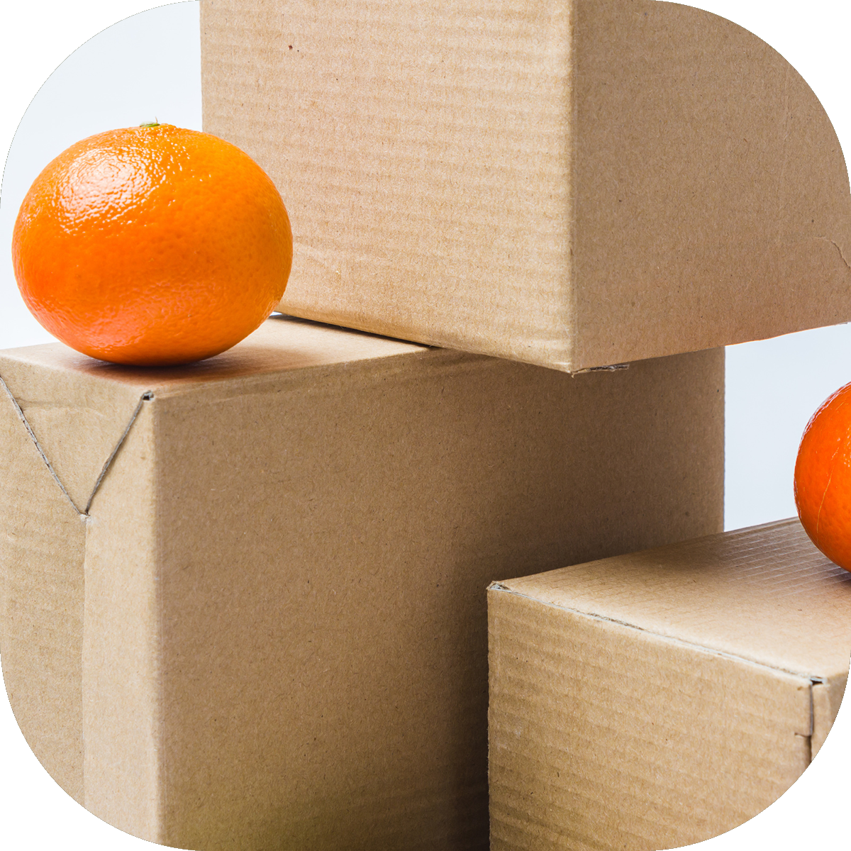 visuel-cartons-oranges